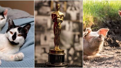 Kollage på veckans nyheter