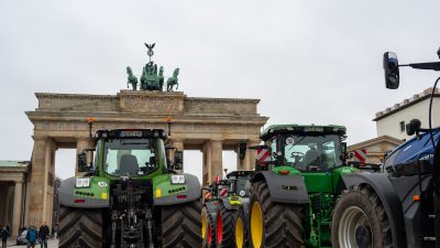 Fördjupning: Bönder