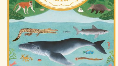 Boktips: Djurens rekordbok